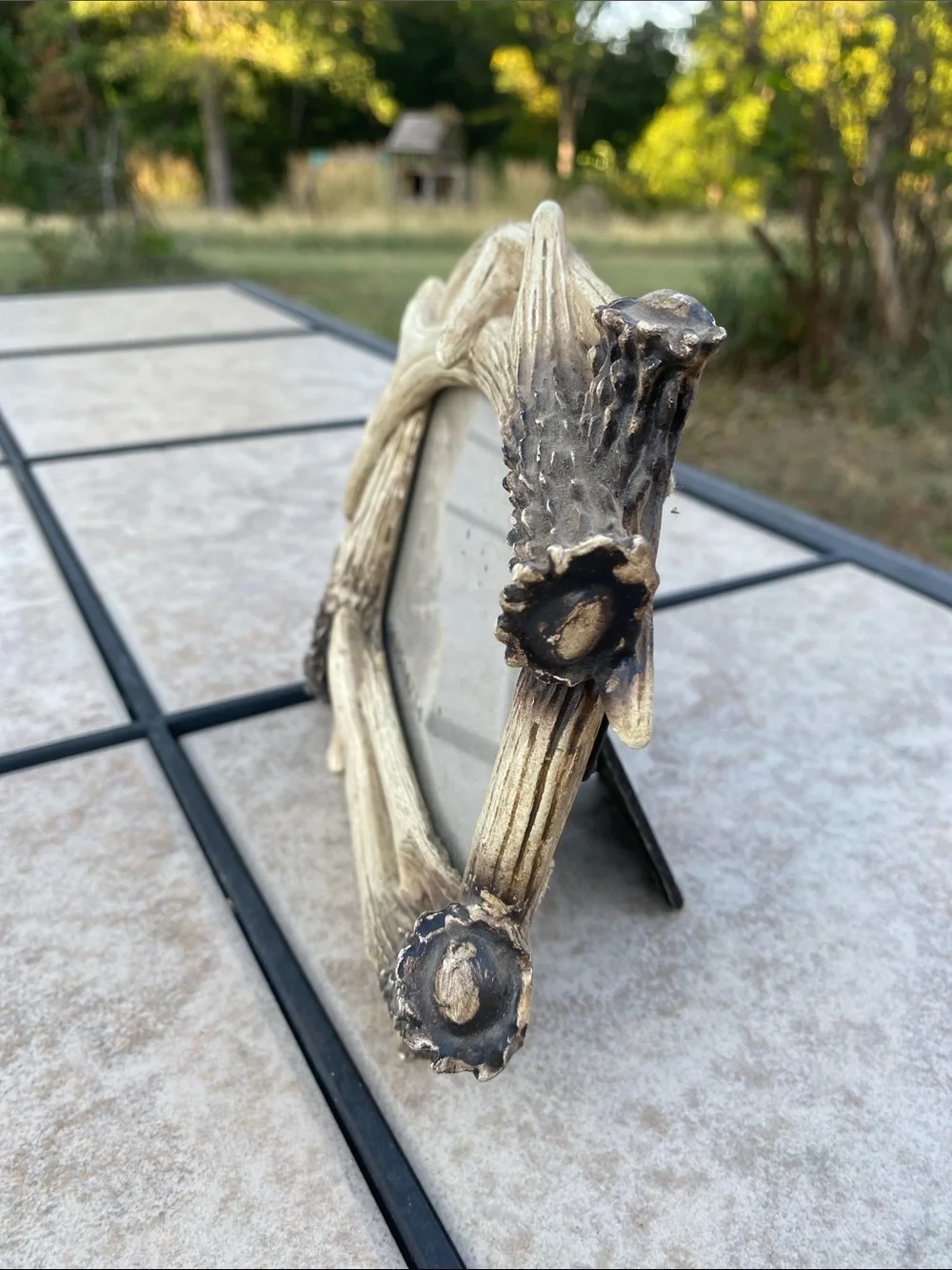 Source Unknown this deer
